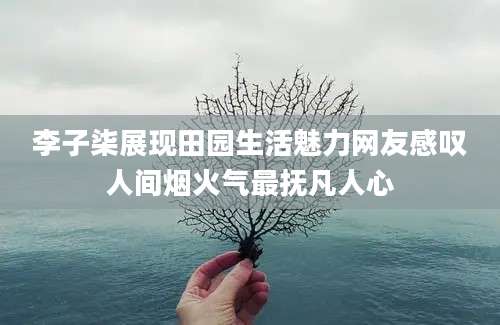 李子柒展现田园生活魅力网友感叹人间烟火气最抚凡人心