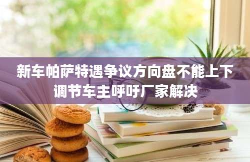 新车帕萨特遇争议方向盘不能上下调节车主呼吁厂家解决