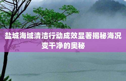 盐城海域清洁行动成效显著揭秘海况变干净的奥秘