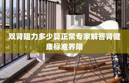 双肾阻力多少算正常专家解答肾健康标准界限