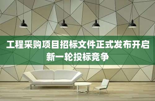 工程采购项目招标文件正式发布开启新一轮投标竞争