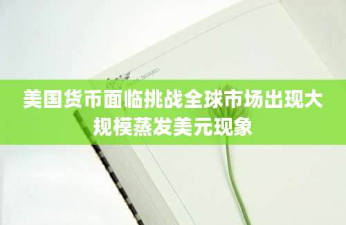 美国货币面临挑战全球市场出现大规模蒸发美元现象