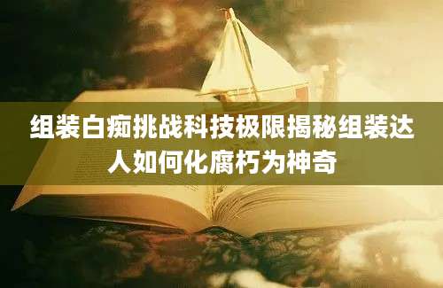 组装白痴挑战科技极限揭秘组装达人如何化腐朽为神奇