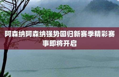 阿森纳阿森纳强势回归新赛季精彩赛事即将开启