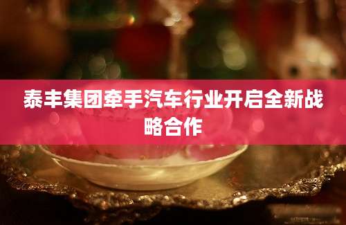 泰丰集团牵手汽车行业开启全新战略合作