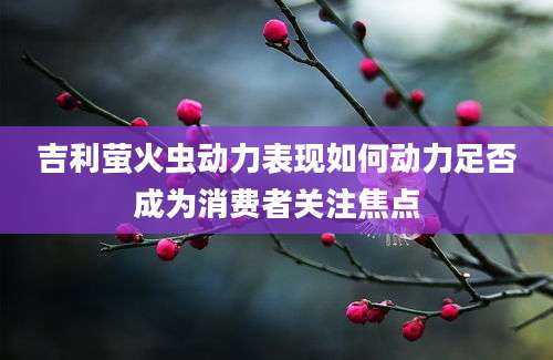 吉利萤火虫动力表现如何动力足否成为消费者关注焦点