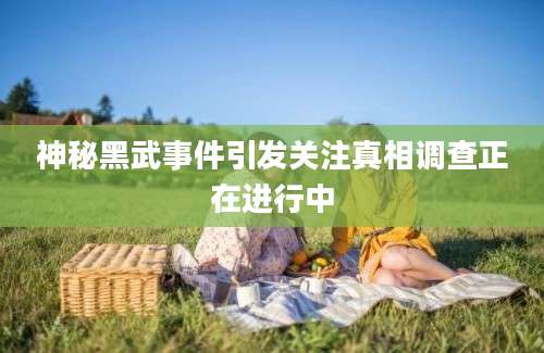 神秘黑武事件引发关注真相调查正在进行中
