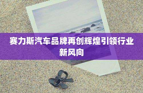 赛力斯汽车品牌再创辉煌引领行业新风向