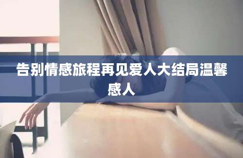 告别情感旅程再见爱人大结局温馨感人