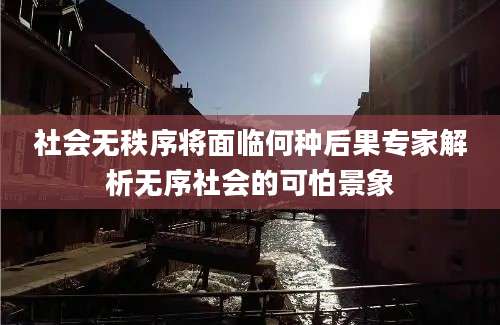 社会无秩序将面临何种后果专家解析无序社会的可怕景象