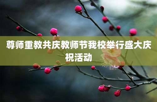 尊师重教共庆教师节我校举行盛大庆祝活动