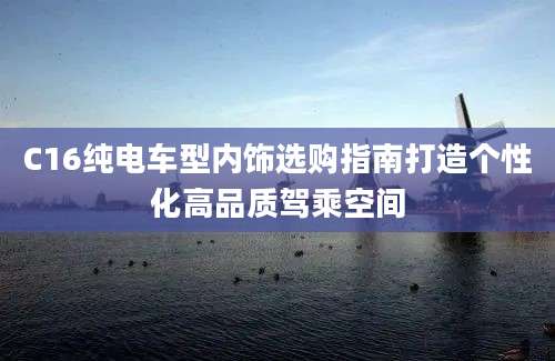 C16纯电车型内饰选购指南打造个性化高品质驾乘空间