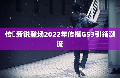 传褀新锐登场2022年传祺GS3引领潮流