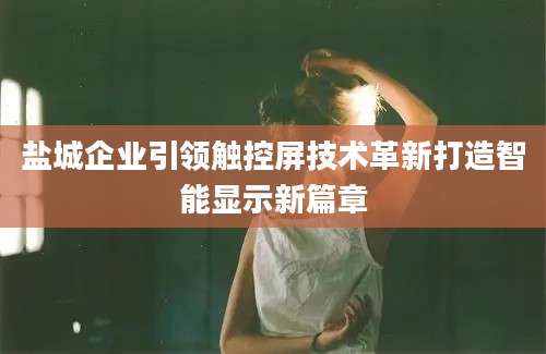 盐城企业引领触控屏技术革新打造智能显示新篇章