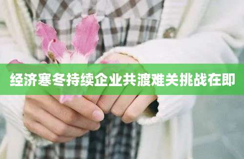 经济寒冬持续企业共渡难关挑战在即