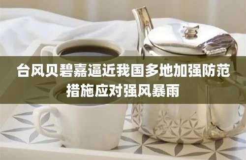 台风贝碧嘉逼近我国多地加强防范措施应对强风暴雨