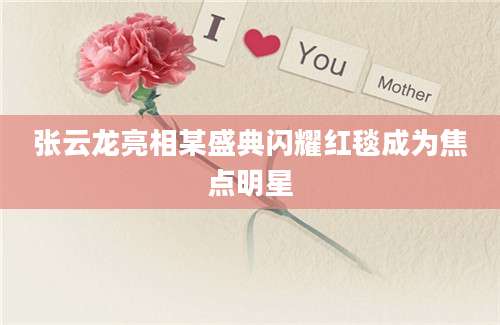 张云龙亮相某盛典闪耀红毯成为焦点明星
