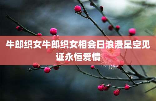 牛郎织女牛郎织女相会日浪漫星空见证永恒爱情