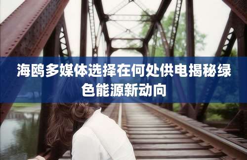 海鸥多媒体选择在何处供电揭秘绿色能源新动向