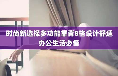 时尚新选择多功能靠背8格设计舒适办公生活必备