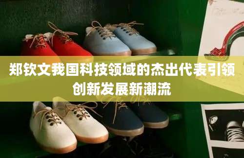 郑钦文我国科技领域的杰出代表引领创新发展新潮流
