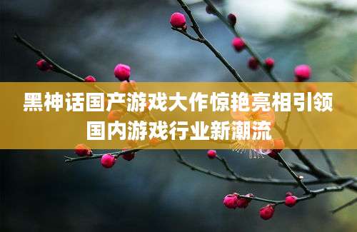黑神话国产游戏大作惊艳亮相引领国内游戏行业新潮流