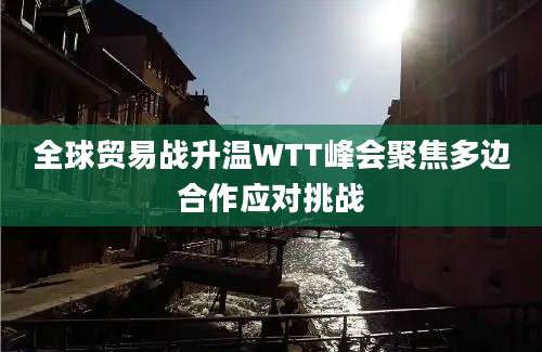 全球贸易战升温WTT峰会聚焦多边合作应对挑战
