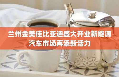 兰州金美佳比亚迪盛大开业新能源汽车市场再添新活力
