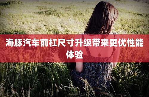 海豚汽车前杠尺寸升级带来更优性能体验