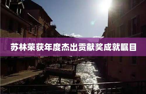 苏林荣获年度杰出贡献奖成就瞩目