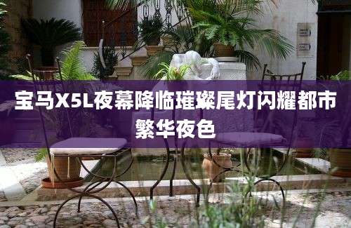 宝马X5L夜幕降临璀璨尾灯闪耀都市繁华夜色