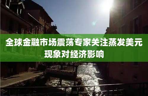 全球金融市场震荡专家关注蒸发美元现象对经济影响
