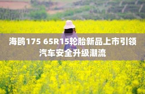 海鸥175 65R15轮胎新品上市引领汽车安全升级潮流