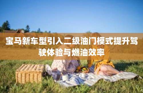 宝马新车型引入二级油门模式提升驾驶体验与燃油效率