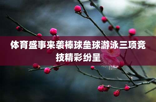体育盛事来袭棒球垒球游泳三项竞技精彩纷呈