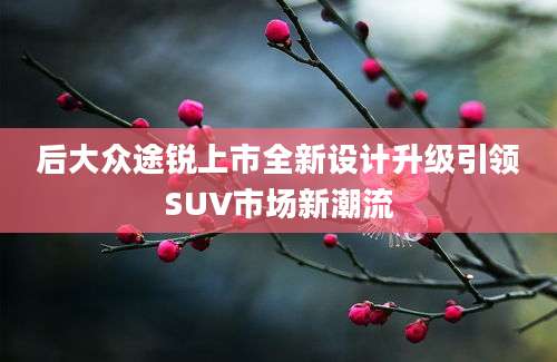 后大众途锐上市全新设计升级引领SUV市场新潮流