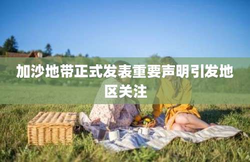 加沙地带正式发表重要声明引发地区关注