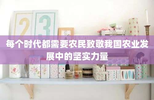 每个时代都需要农民致敬我国农业发展中的坚实力量
