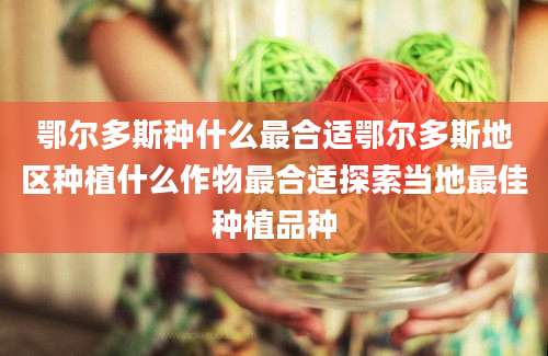 鄂尔多斯种什么最合适鄂尔多斯地区种植什么作物最合适探索当地最佳种植品种