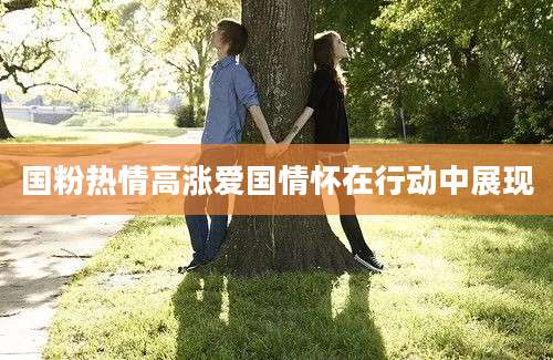 国粉热情高涨爱国情怀在行动中展现