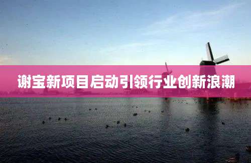 谢宝新项目启动引领行业创新浪潮