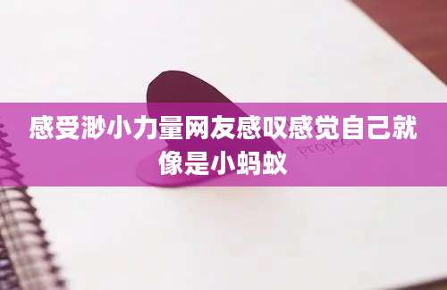 感受渺小力量网友感叹感觉自己就像是小蚂蚁