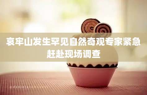 哀牢山发生罕见自然奇观专家紧急赶赴现场调查