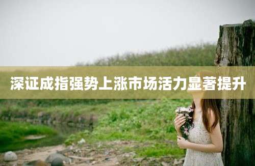 深证成指强势上涨市场活力显著提升