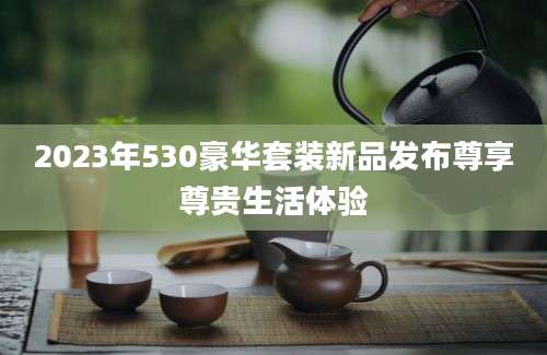 2023年530豪华套装新品发布尊享尊贵生活体验