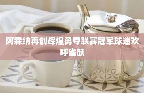 阿森纳再创辉煌勇夺联赛冠军球迷欢呼雀跃