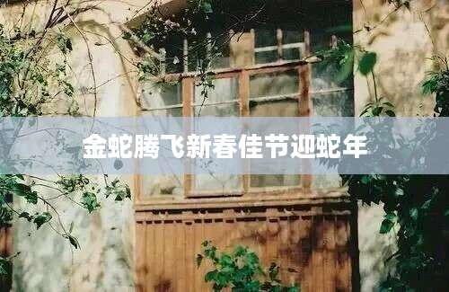 金蛇腾飞新春佳节迎蛇年