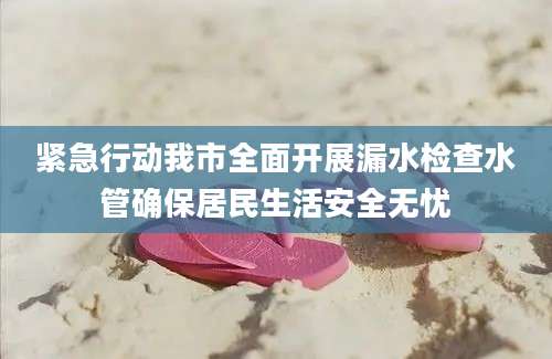 紧急行动我市全面开展漏水检查水管确保居民生活安全无忧