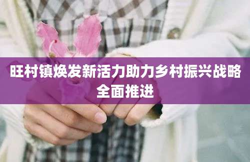 旺村镇焕发新活力助力乡村振兴战略全面推进