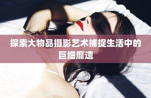 探索大物品摄影艺术捕捉生活中的巨细靡遗